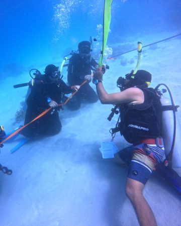 Courses Diving