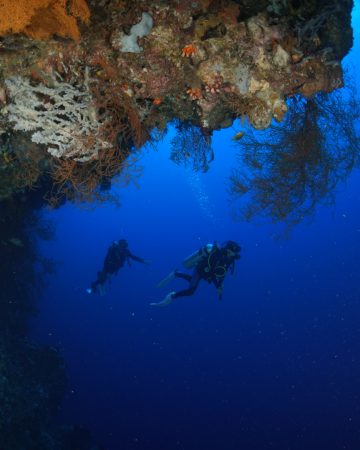 Dive Site