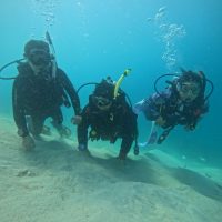 DCIM100GOPROGOPR2889.JPG